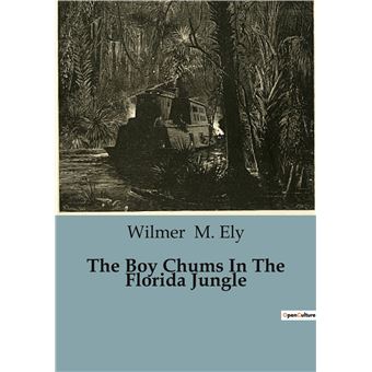 The Boy Chums In The Florida Jungle