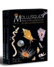 Mollusques marins et dulçaquicoles des Antilles françaises
