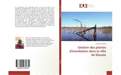 Gestion des plaines d'inondation dans la ville de douala
