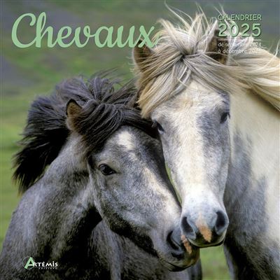 Calendrier équestre 2025, Compte à Rebours De Noël De 24 Jours, Incluant Une Décoration De Cheval à Suspendre Calendrier Noël Sur Le Thème Des Chevaux | Leroy Merlin