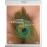 Contes immoraux Blu-ray_1