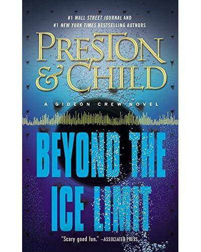 Beyond the ice limit