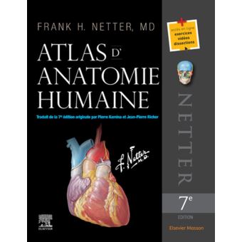 Atlas D'anatomie Humaine - Cartonné - Frank Netter - Achat Livre Ou ...