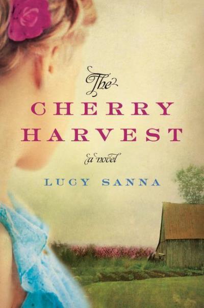 The cherry harvest
