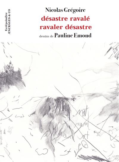 Désastre ravale - Nicolas Grégoire - broché