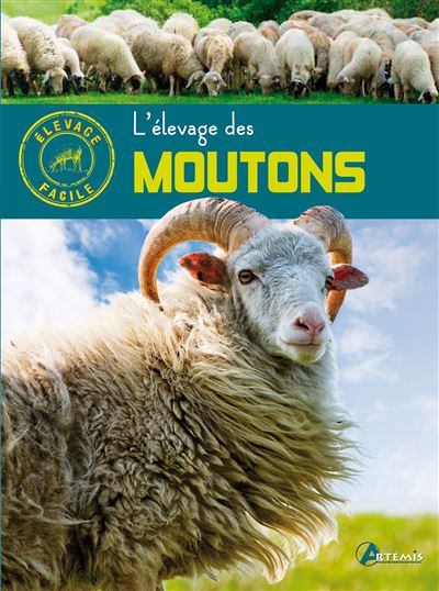 Elevage des moutons