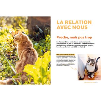 Pourquoi mon chat fait-il ça?