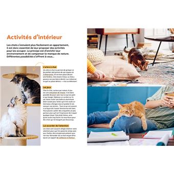 Pourquoi mon chat fait-il ça?