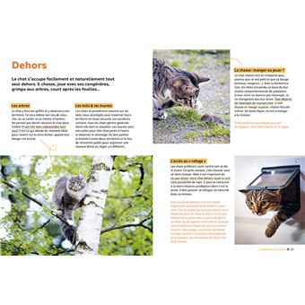 Pourquoi mon chat fait-il ça?