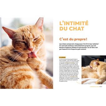 Pourquoi mon chat fait-il ça?