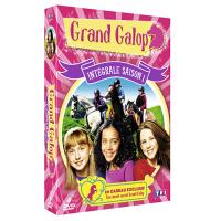 Coffret intégral de la Saison 1