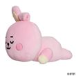 Mini coussin BTS Cooky