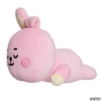 Mini coussin BTS Cooky