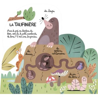 J'habite ici La forêt