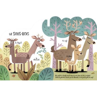 J'habite ici La forêt