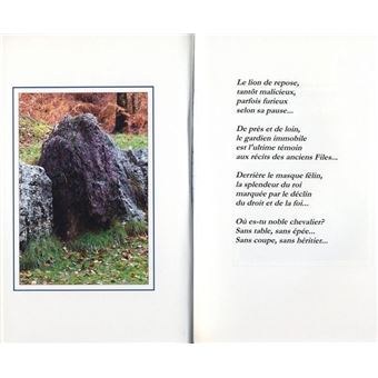 Brocéliande - signes et esprit des légendes