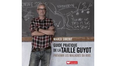 Guide pratique de la taille Guyot