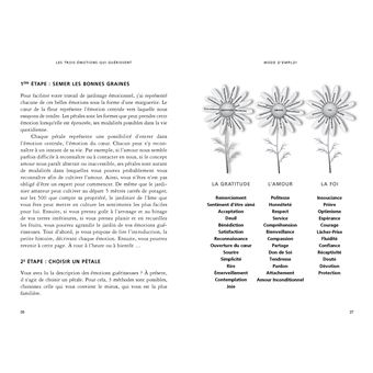 Les 3 emotions qui guerissent - reveillez les pouvoirs de votre coeur avec la