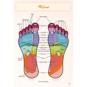 Mon cahier de r flexologie plantaire Se soigner par les pieds