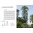 Face aux Arbres - Apprendre à les observer pour les comprendre -Nouvelle édition-_2