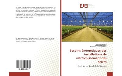 Besoins energetiques des installations de rafraichissement d