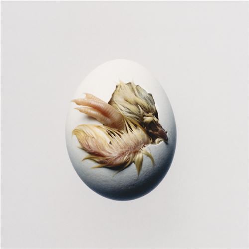 Swallow-Edition-Limitee-Vinyle-Jaune-Tra