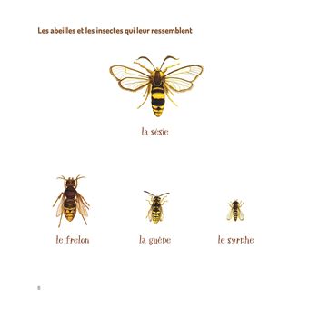 Abel le roi des abeilles