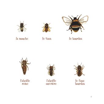 Abel le roi des abeilles