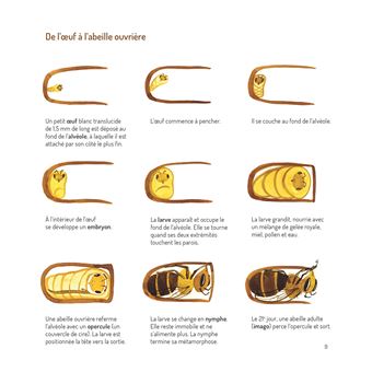 Abel le roi des abeilles