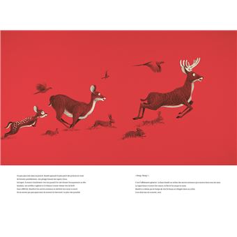 Bambi, une vie dans les bois