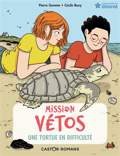 Une tortue en difficulté - Pierre Gemme - broché