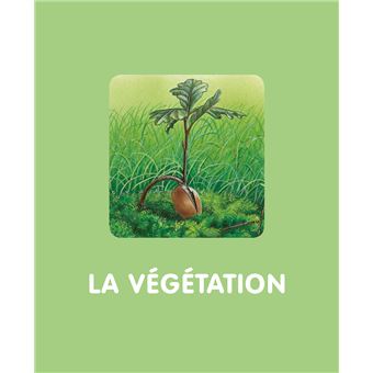 L'imagerie de la forêt (interactive)