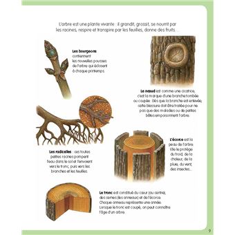 L'imagerie de la forêt (interactive)