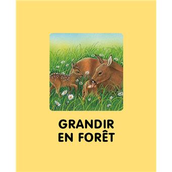 L'imagerie de la forêt (interactive)