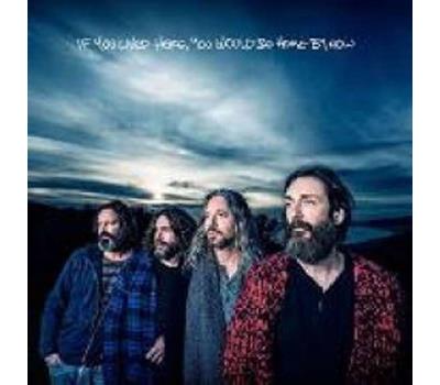 IF YOU LIVED HERE, YOU WOULD BE HOME BY NOW/LP