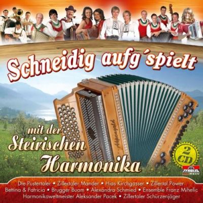 Schneidig aufg m d steir