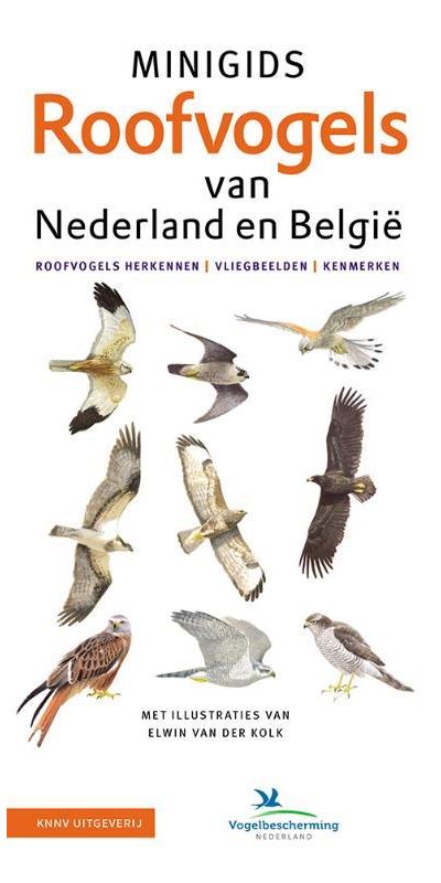 Minigids Set Van Set Minigids Roofvogels Van Nederland En Belgie