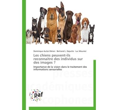 Les chiens peuvent-ils reconnaitre des individus sur des ima