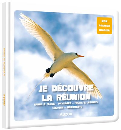 Je découvre la réunion