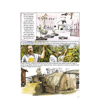 Semences sous influences