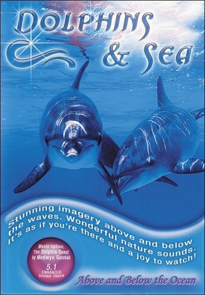 Dolphins And Sea