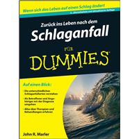 Zurück ins Leben nach dem Schlaganfall für Dummies