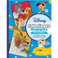 Les ateliers Disney : Wish, Asha et la bonne étoile : cartes à gratter -  Disney - Disney Hachette - Papeterie / Coloriage - Raconte-moi la Terre  (Bron) BRON