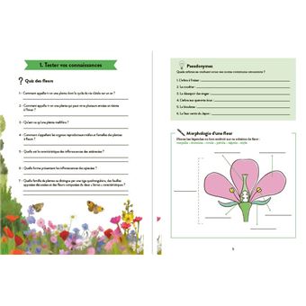 Cahier d'activités de la nature - Partez en observation !