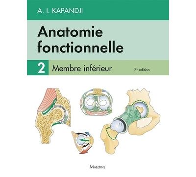Anatomie fonctionnelle