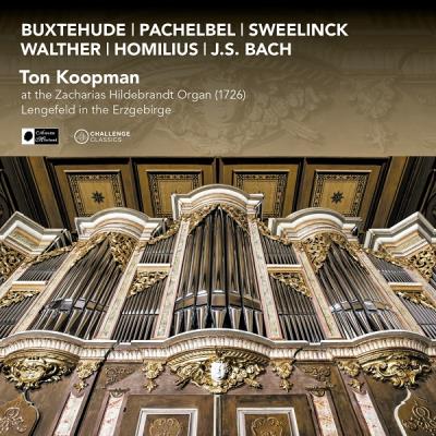 At the Zacharias Hildebrandt organ