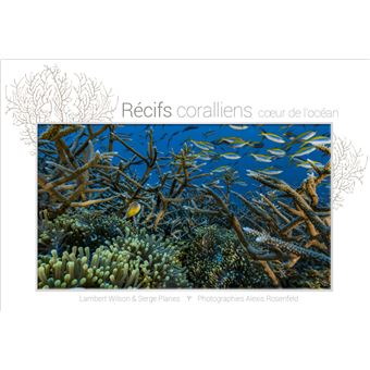 Récifs coralliens, cœur de l'océan