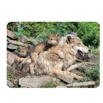 Loup - Puzzle photo