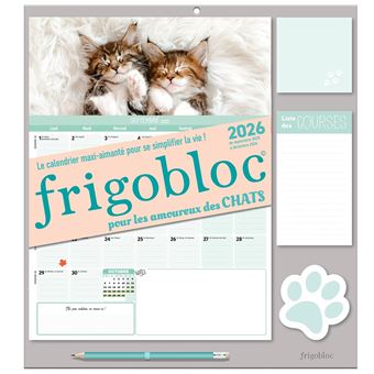 Calendrier De Bureau 2026 Avec Chats - Format 17x20 Cm - Papier épais 300g - Multilingue (français, Anglais, Etc.)