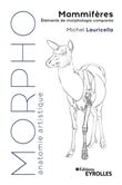 Morpho Mammifères